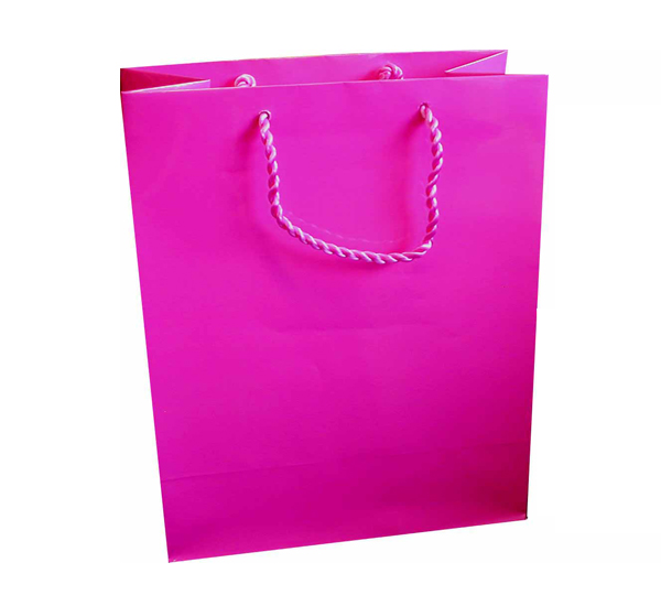 Gloss Hot Pink A4 Gift Bag | Plasbox