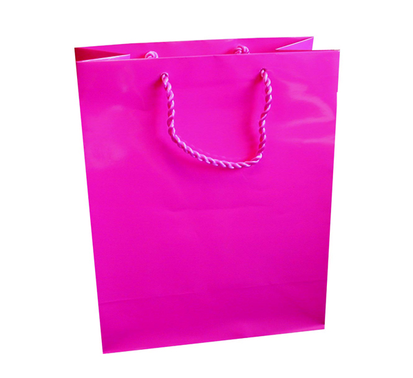 Gloss Hot Pink A5 Gift Bag | Plasbox
